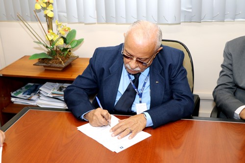 posse abelha imagem 2